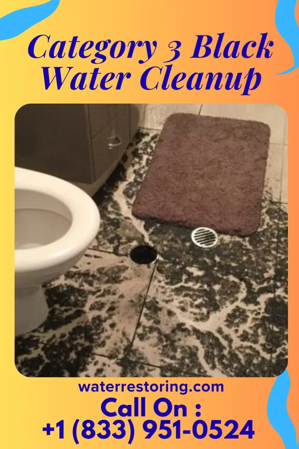 Category 3 Black Water Cleanup in Little Falls, NY