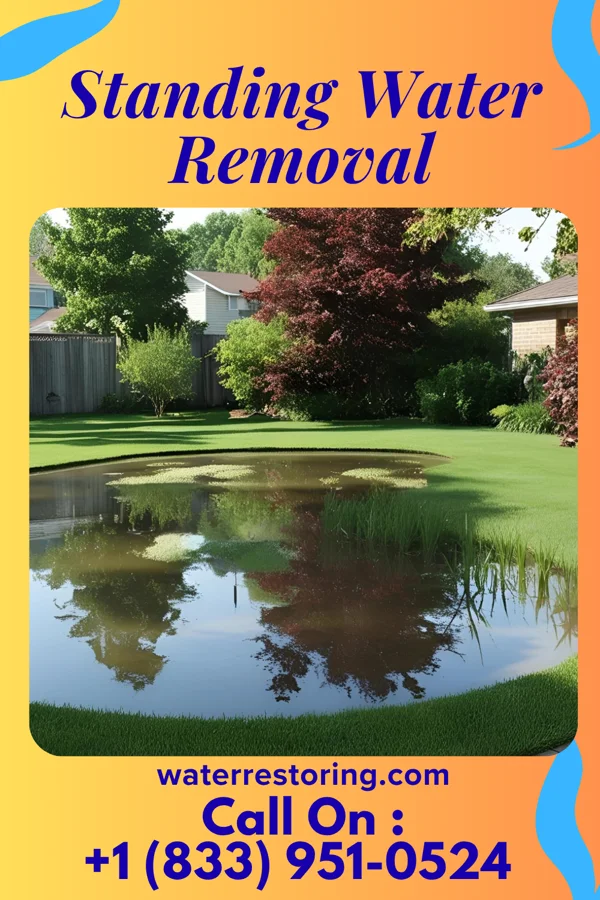 Standing Water Removal in Little Falls, NY